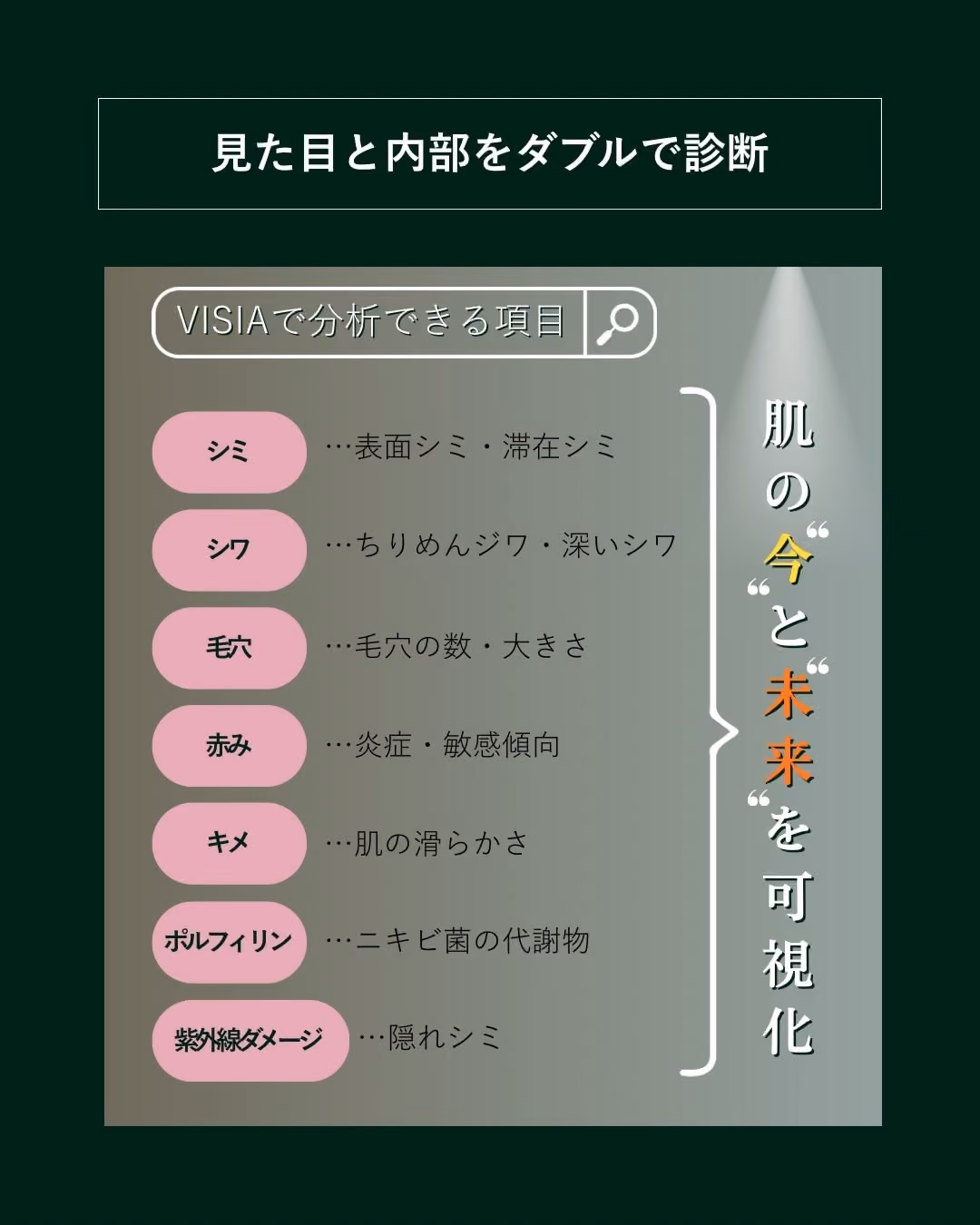 VISIA画面: シワ・シミ・赤み・テクスチャ評価